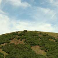 Valorema recycles end of life or new passed over electronic products, bulk or in the original packaging, manufactured for the last 3 years. We recycle and valorize ADSL modems, routers, PCI, PCMCIA cards, mobile phones, cellular phones, blackberry, USB accessories, USB key, dongles, wifi keys, flash memory cards, bluetooth cards, modules, adapters, small displays and monitors, ADSL filters, decoders and digibox... And specific products upon request.