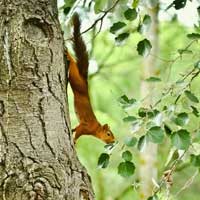 Why should you trust Valorema ? Valorema is a true specialist of WEEE valorization and especially ADSL modems, with 20 years of international experience. Partners : Internet Providers, Manufacturers of electronic products, Maintainers / Repair centers.